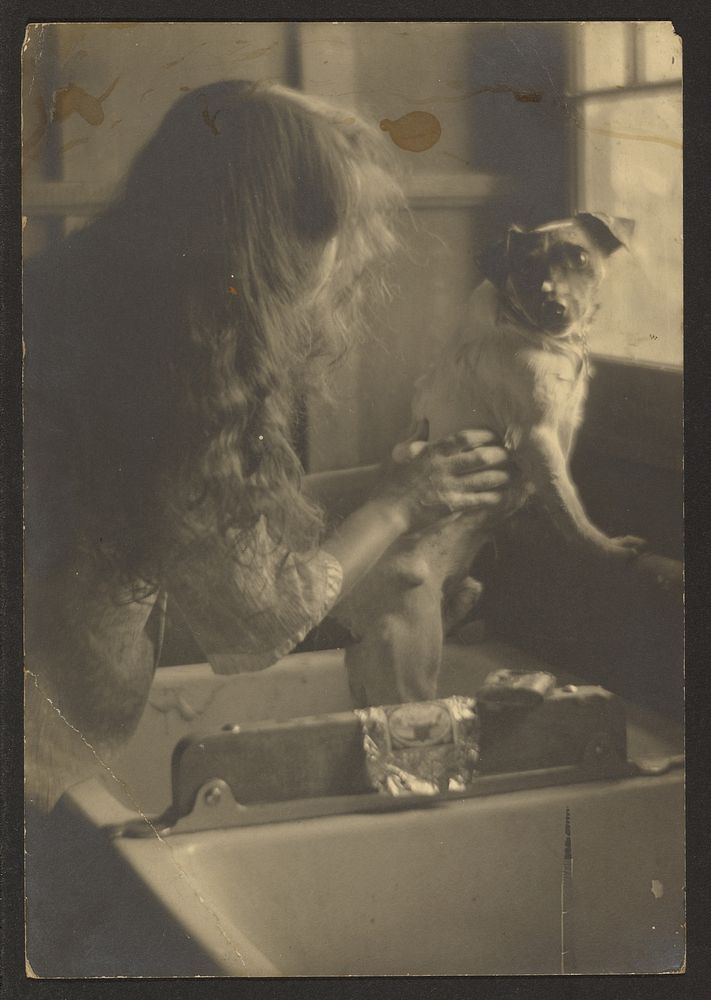 Woman Washing Dog in Sink by Louis Fleckenstein