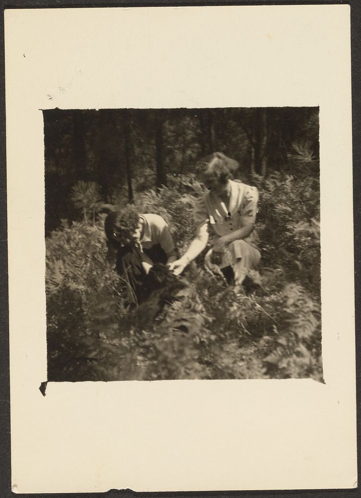 Two Women Seated in Fern by Louis Fleckenstein