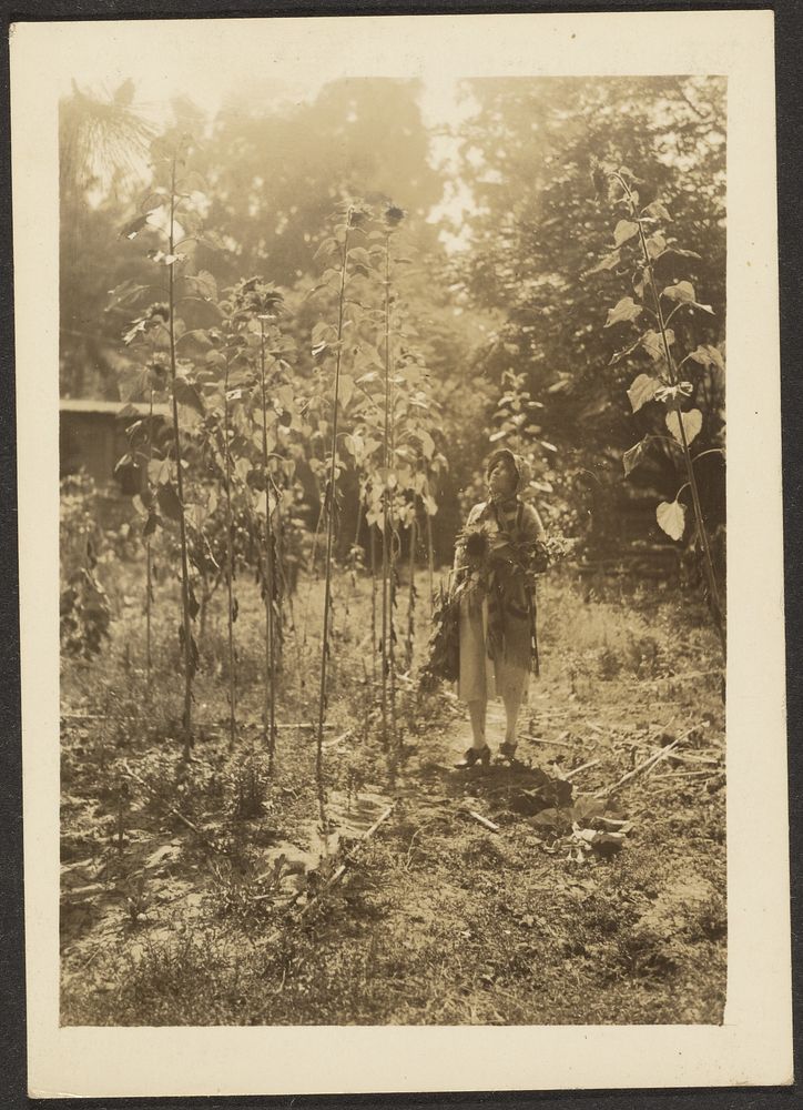 Florence and Sunflowers by Louis Fleckenstein