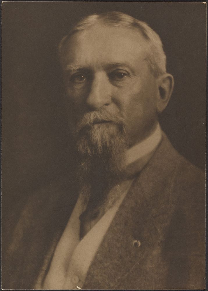 Portrait of a Bearded Man by Louis Fleckenstein