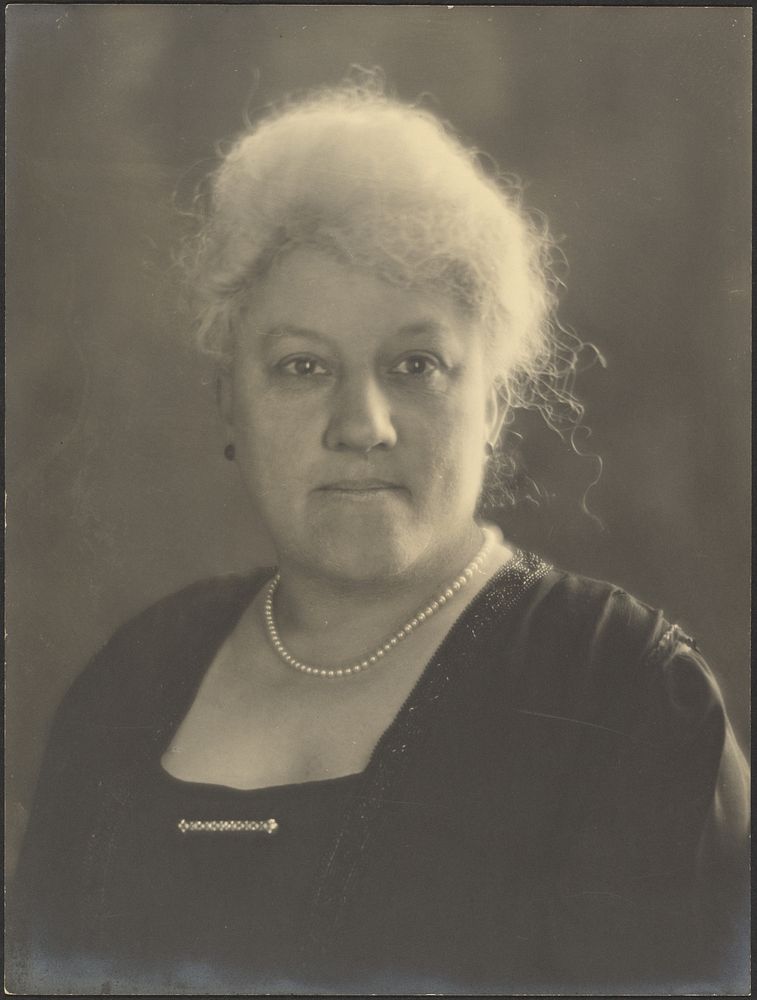 Portrait of a Woman with Pearls and Bar Pin by Louis Fleckenstein