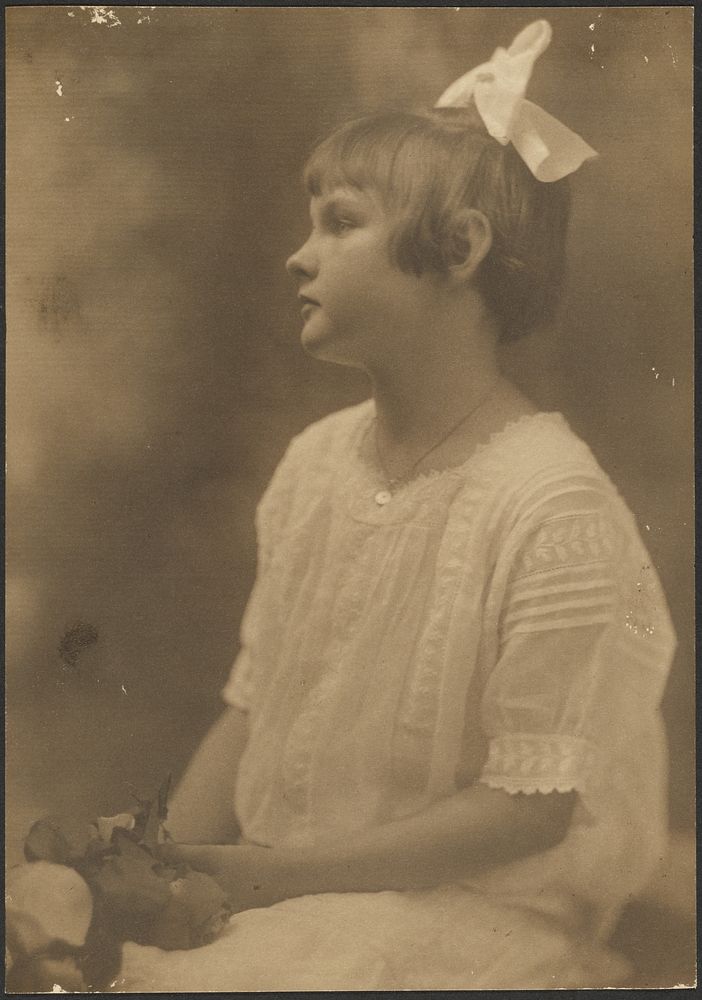 Portrait of a Young Girl with Flowers in Lap by Louis Fleckenstein
