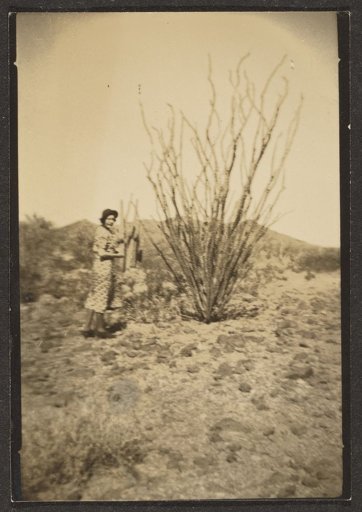 Florence with Large Cactus by Louis Fleckenstein
