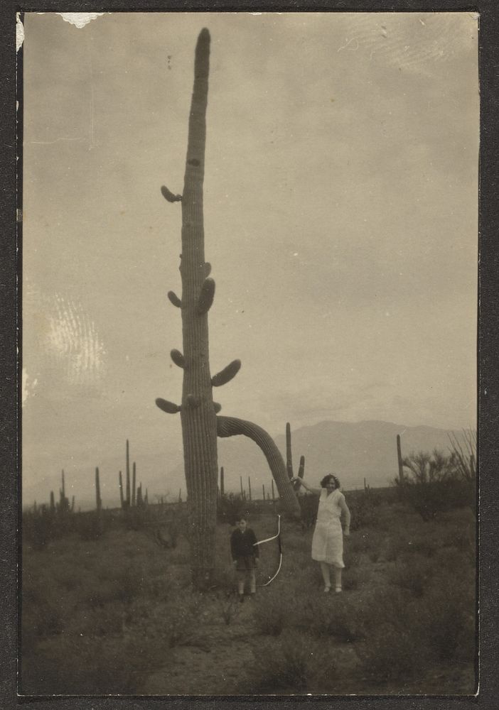 Woman and Child with Cactus by Louis Fleckenstein