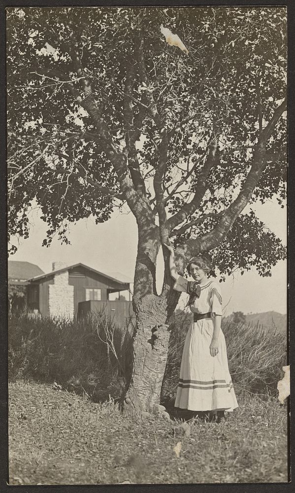 Woman and a Tree by Louis Fleckenstein