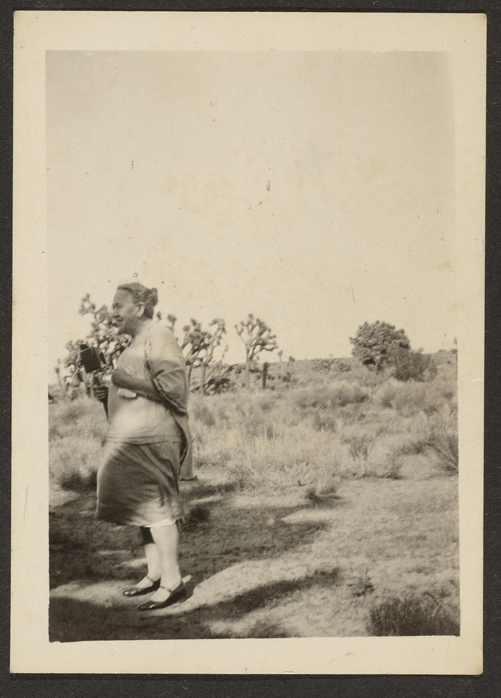 Mrs. Fleckenstein in Landscape by Louis Fleckenstein