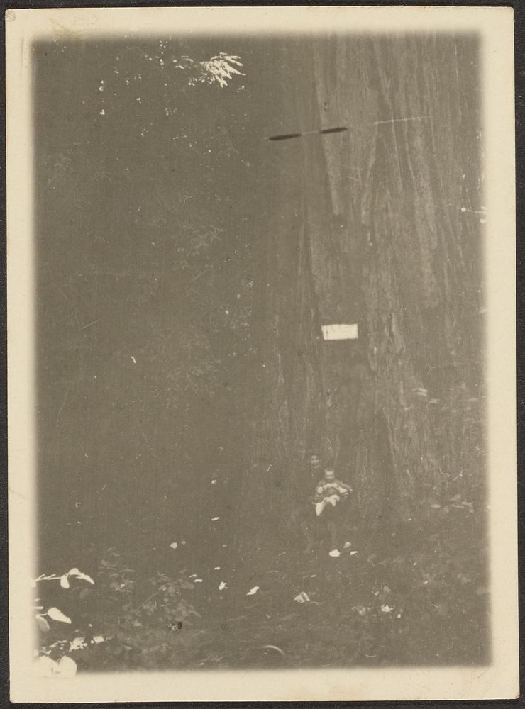 Figure under Large Tree by Louis Fleckenstein