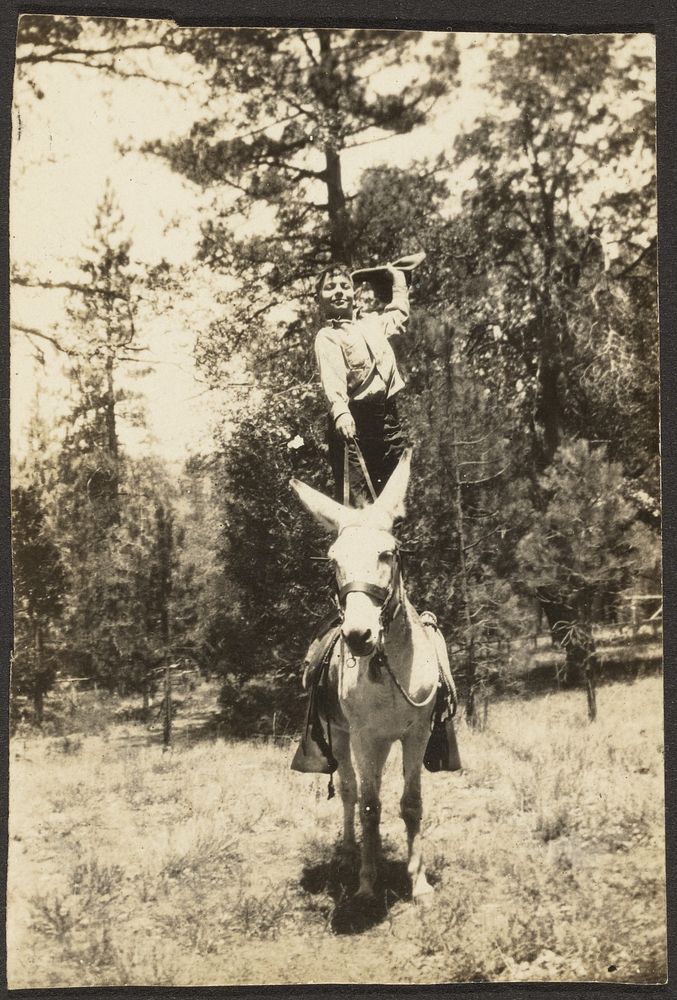 Boy Standing on Donkey by Louis Fleckenstein