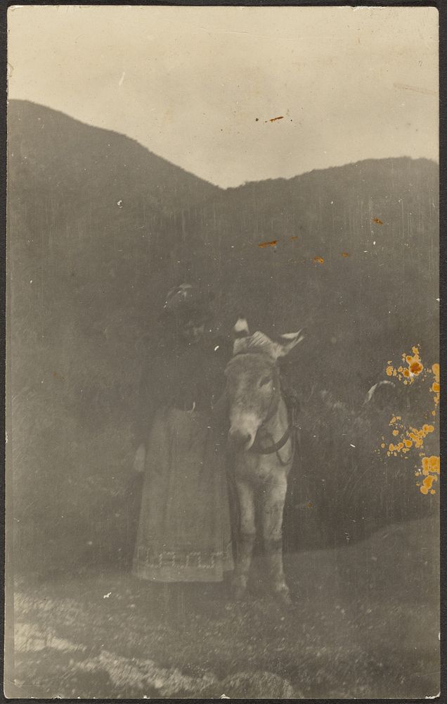 Woman with Donkey by Louis Fleckenstein