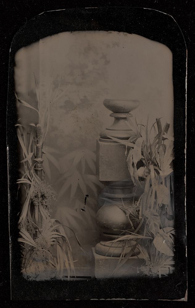 Studio still life of potted plants and single prop column