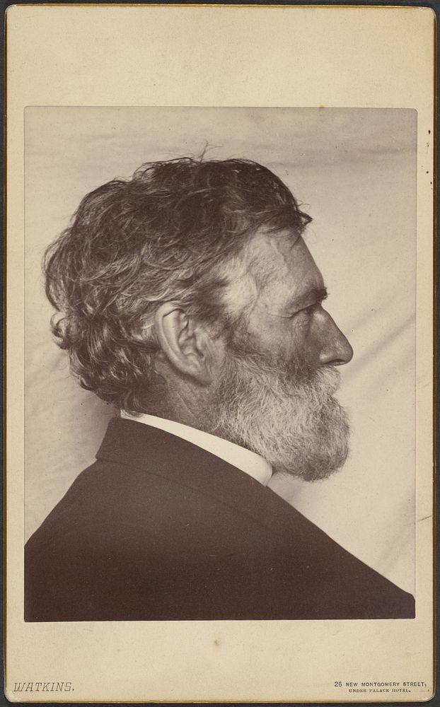 Portrait of George Davidson by Carleton Watkins