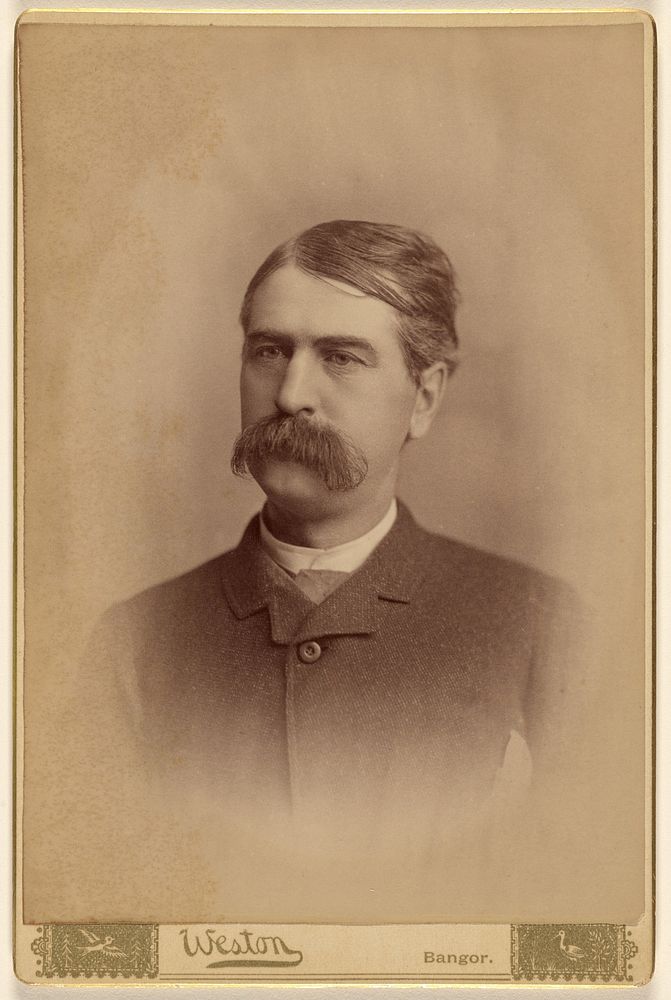 Portrait of an unidentified man with a bushy moustache by F C Weston