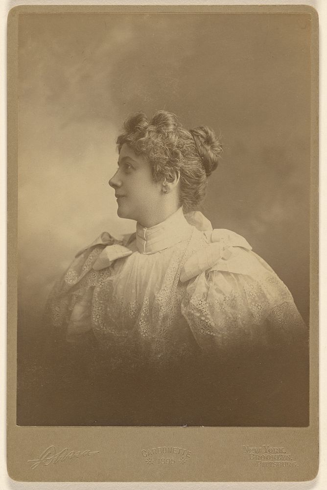 Portrait of a woman in profile by Edward C Dana