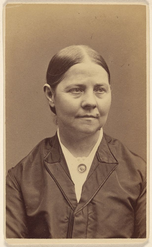 Lucy Stone by Sumner B Heald