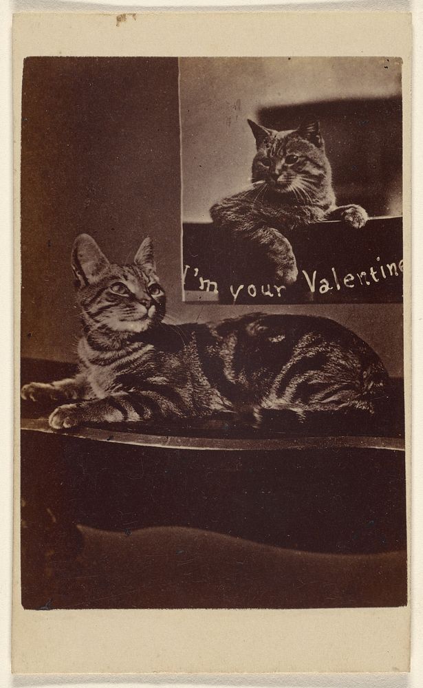 I'm Your Valentine. by Henry Pointer