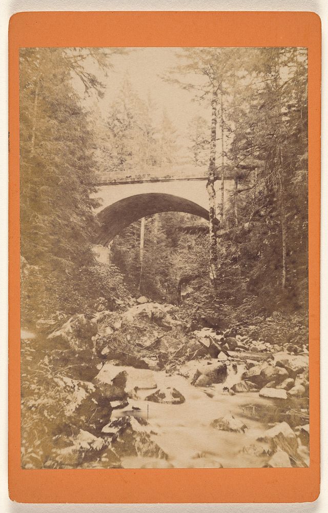 Sites des Voges. Environs de Gerardmer. - Le Pont de Vologne. by Adolphe Braun