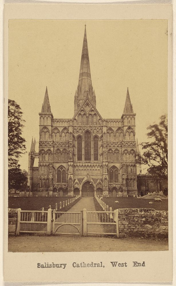 Salisbury Cathedral, West End