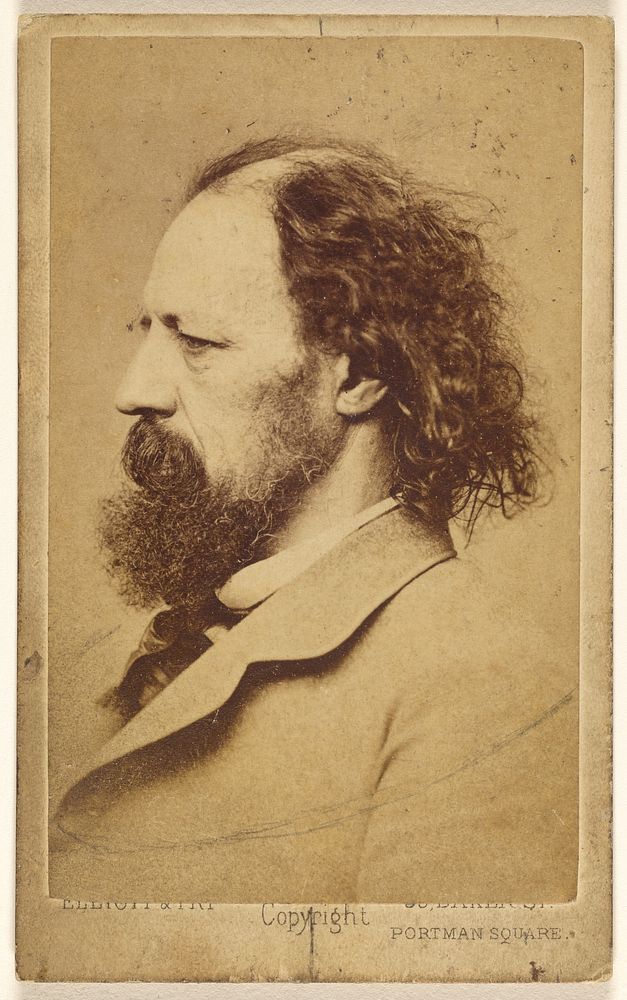 Alfred] Tennyson (1809 - 1892 by Elliott and Fry