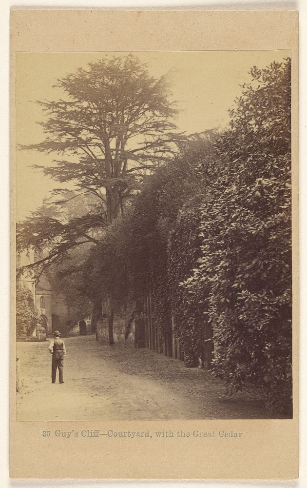 Guy's Cliff - Courtyard, with the Great Cedar. by Francis Bedford