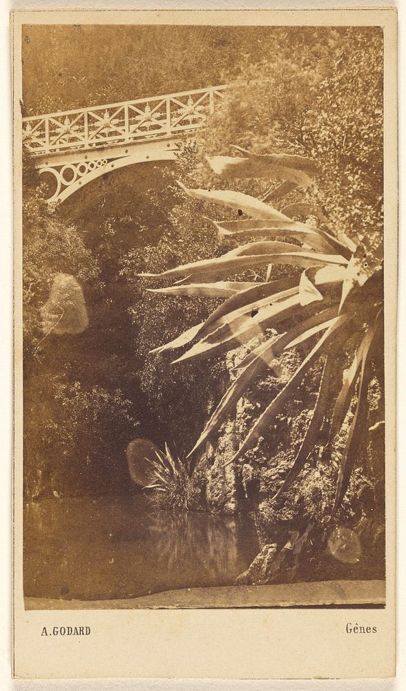 Peyli: Ponte della Cascata. by Adolphe Godard