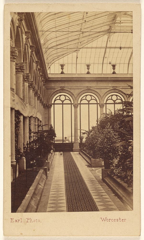 Whitley Court. Interior of Grand Conservatory. by Francis Charles Earl