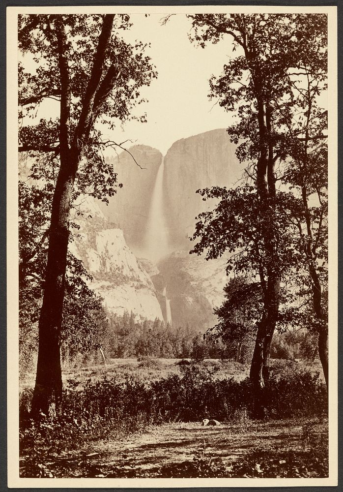 Yosemite Falls by Carleton Watkins