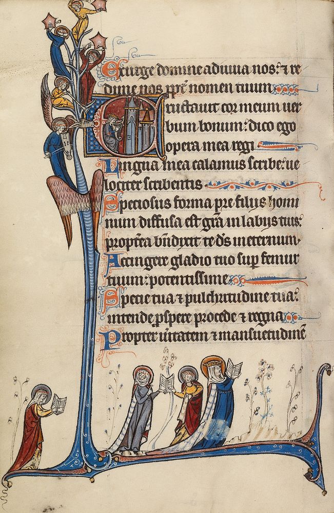 Initial E: David Playing the Harp by Bute Master
