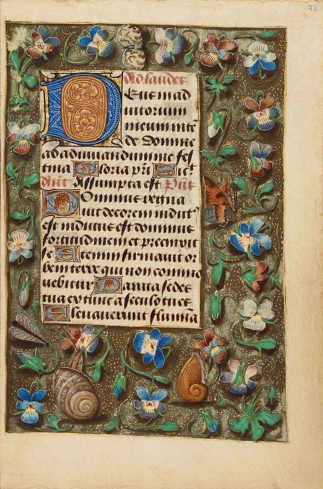 Decorated Initial D by Master of the Dresden Prayer Book
