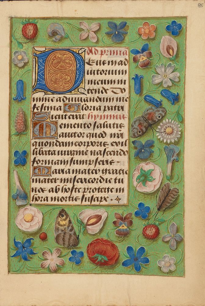 Decorated Initial D