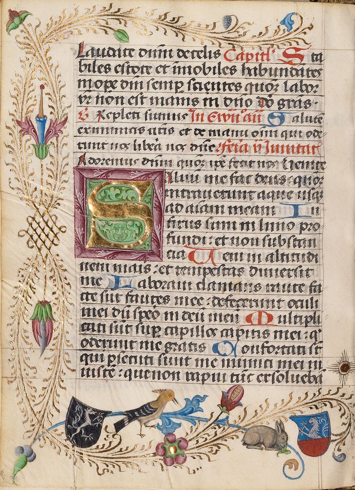 Decorated Initial S