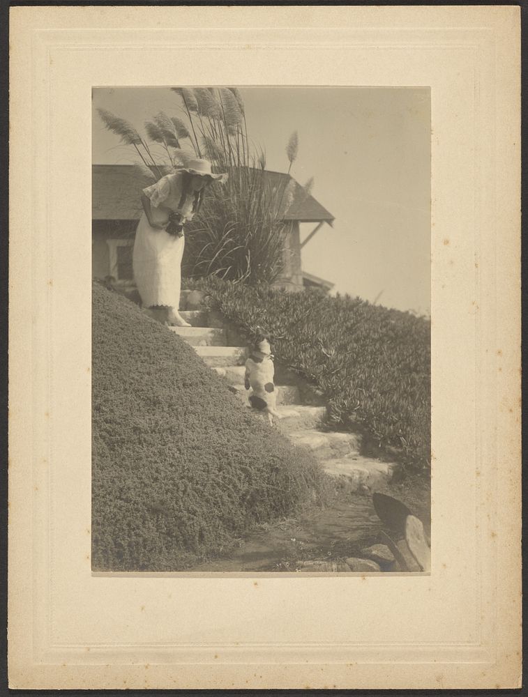 Woman Calling her Dog on Steps by Louis Fleckenstein