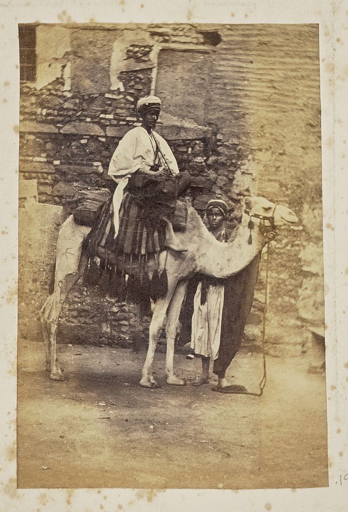 Two men and a camel