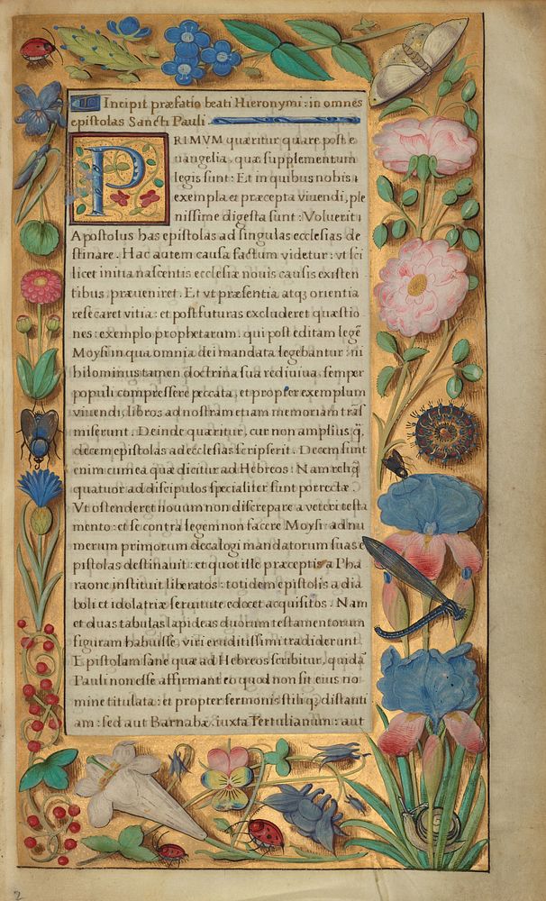 Decorated Text Page by Master of the Getty Epistles
