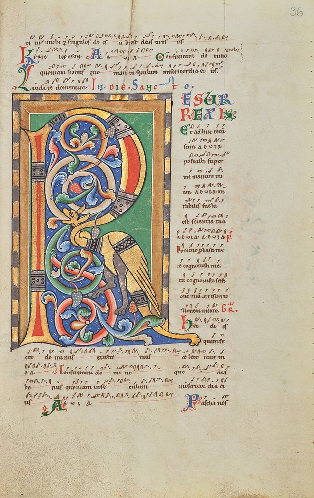 Decorated Initial R