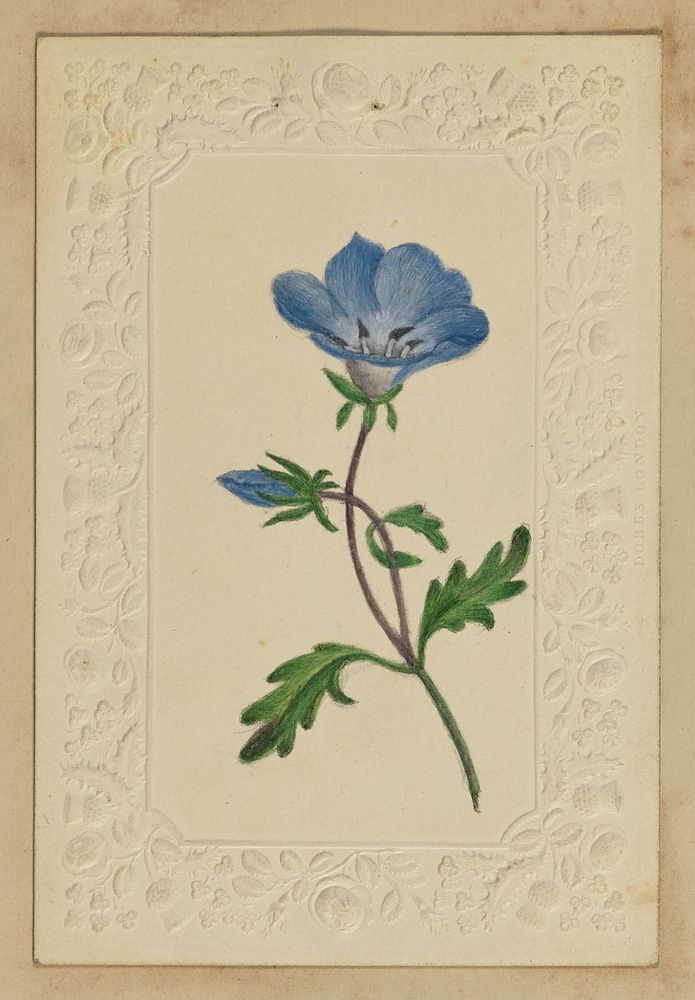 Blue flower note card