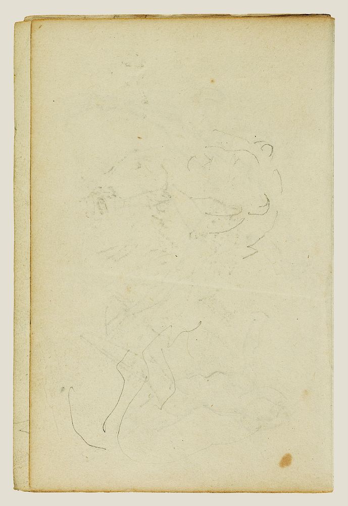 Sketches of head and hind legs of a lion by Théodore Géricault