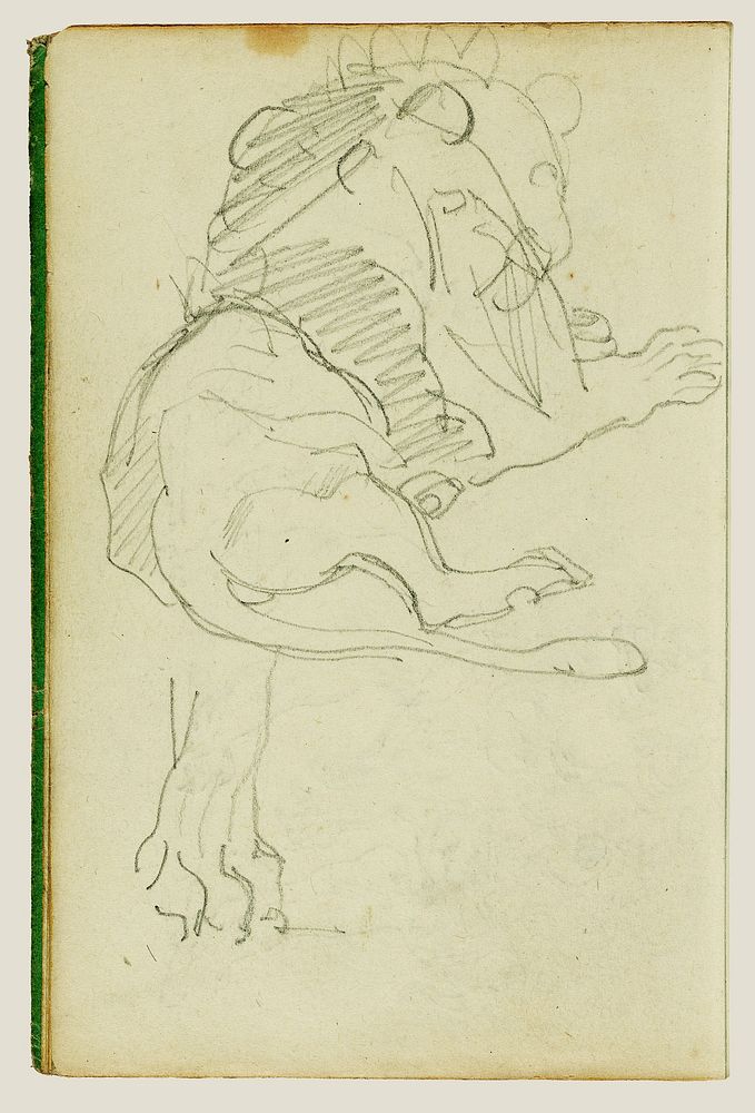 Seated lion by Théodore Géricault