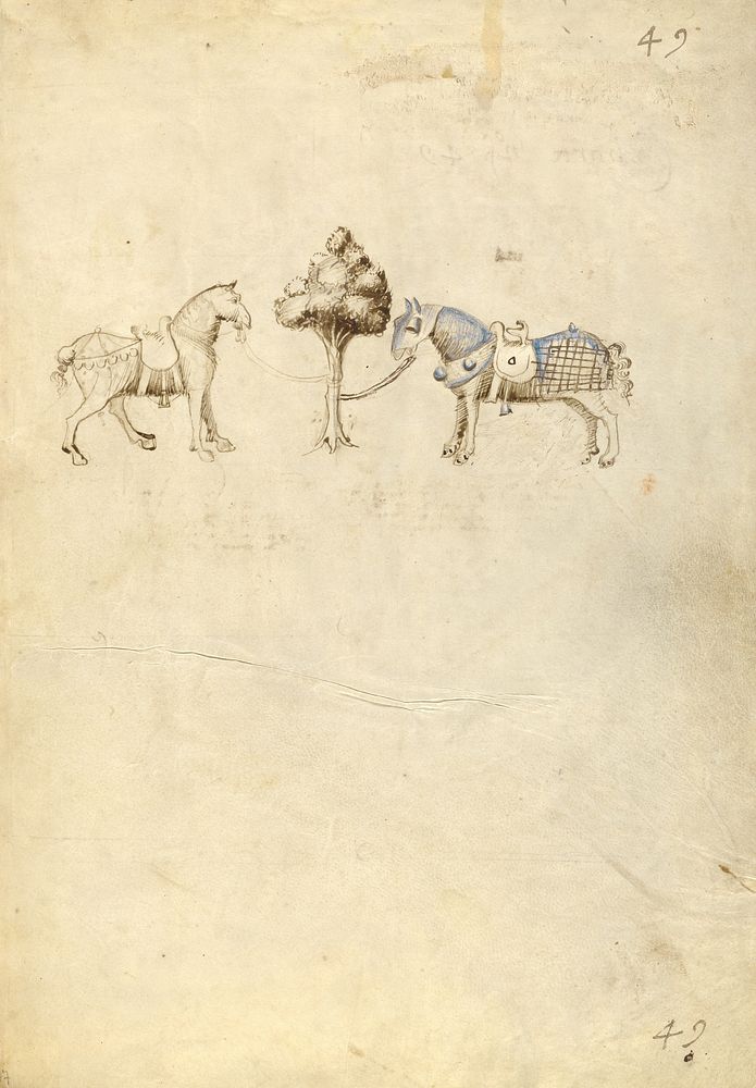 Two Horses by Fiore Furlan dei Liberi da Premariacco