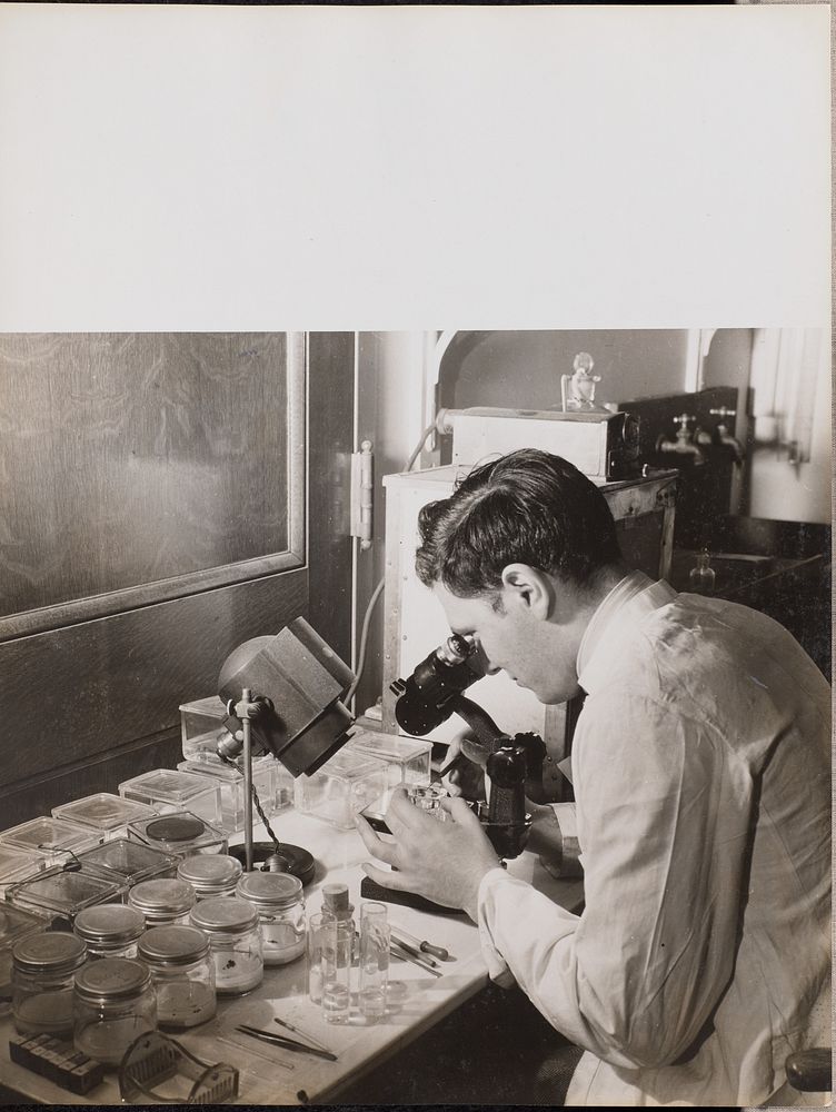 Man looks at a Petri dish through a microscope by Arnold Eagle