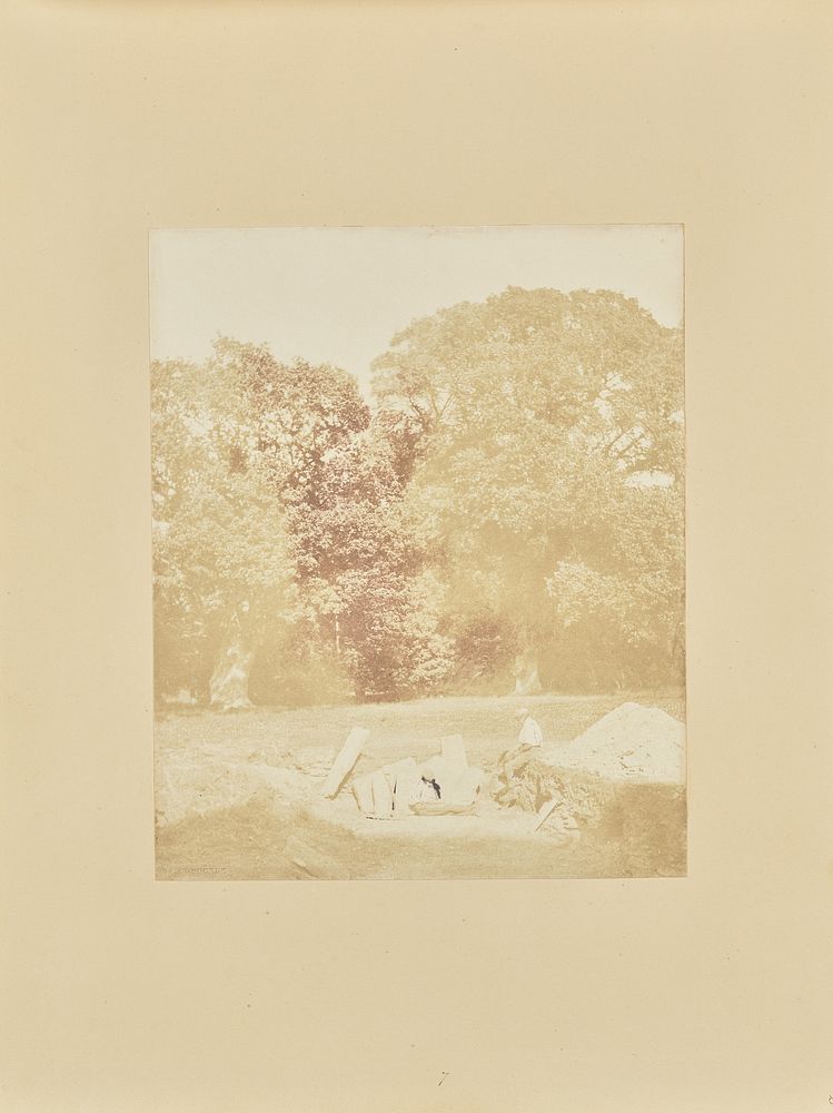 Foliage and Figures, Thorpe Park by Samuel Buckle