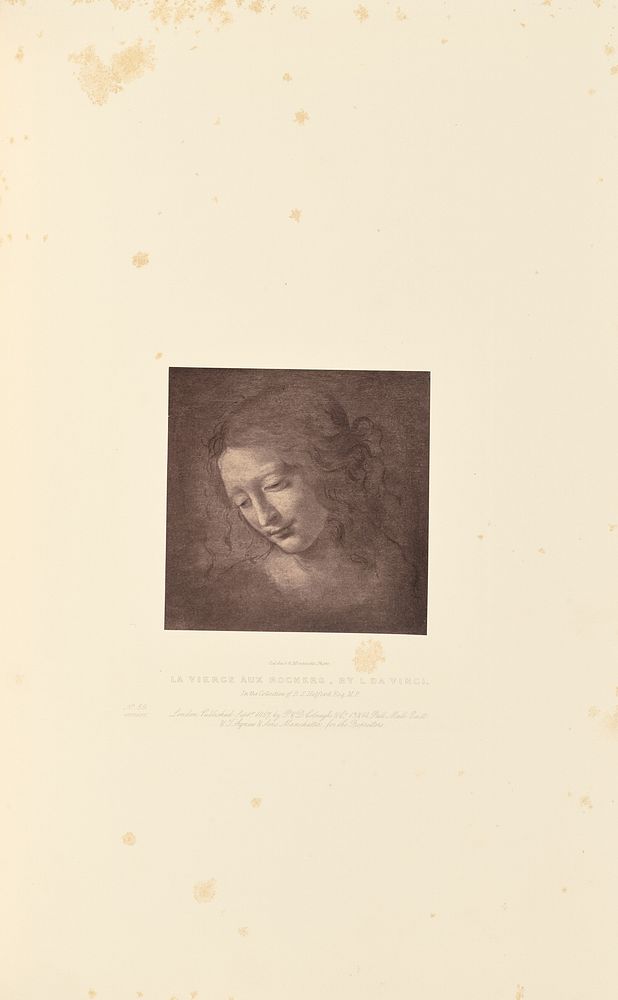 La Vierge aux Rocheres, by L. da Vinci by Caldesi and Montecchi