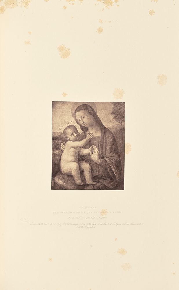 The Virgin and Child, by Filippino Lippi by Caldesi and Montecchi