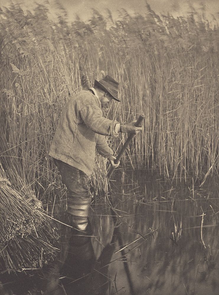 A Reed-Cutter at Work by Peter Henry Emerson