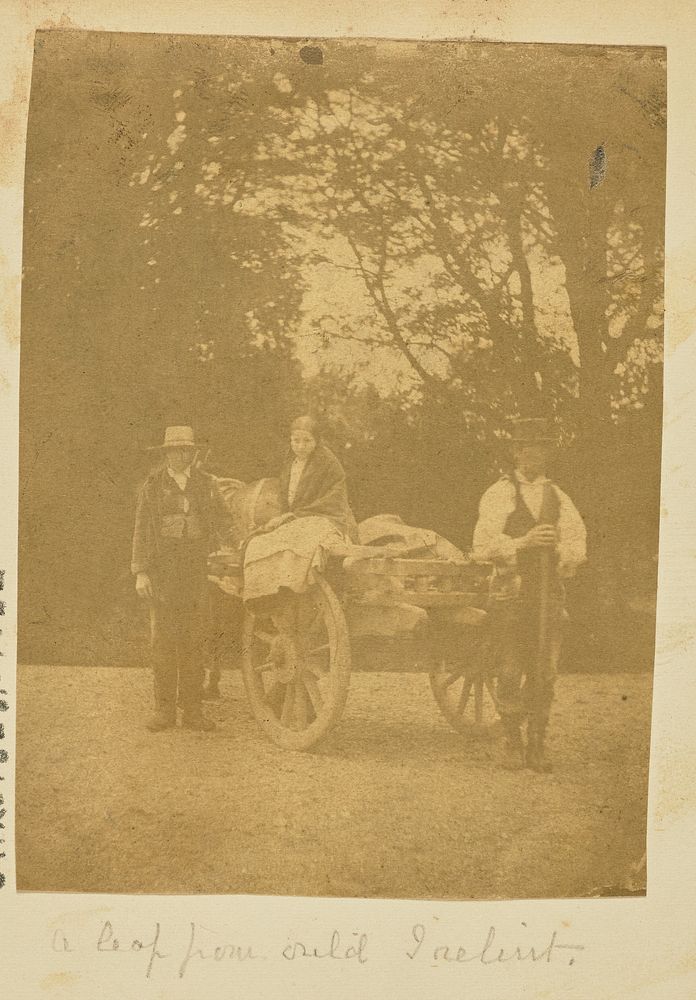Group posing with horse-drawn cart
