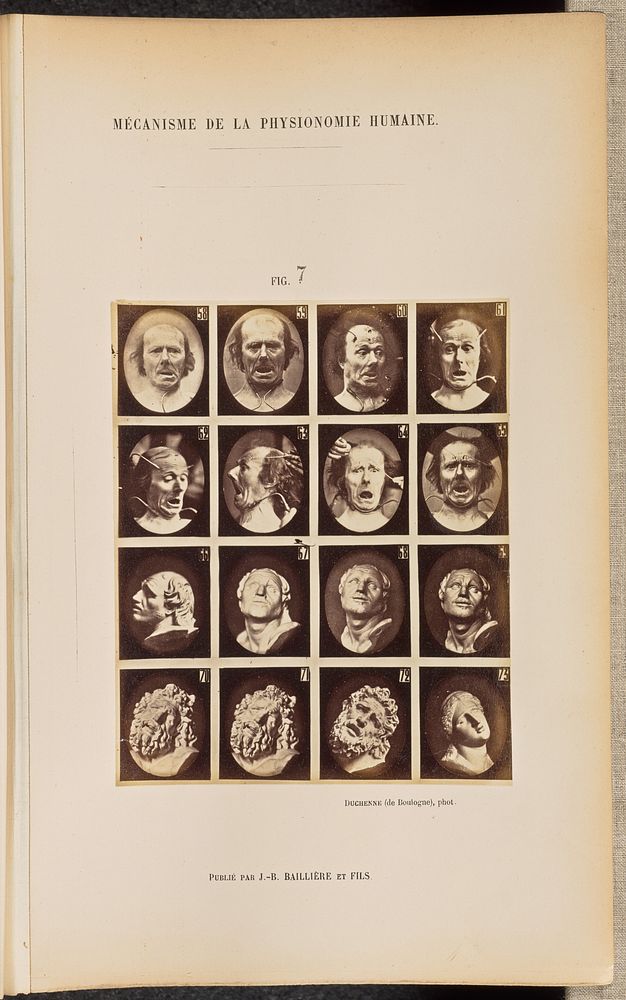 Tableau Synoptique (Fig. 7) by Guillaume Benjamin Duchenne and Adrien Alban Tournachon