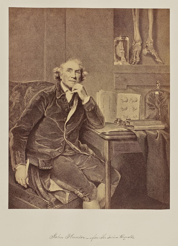 John Hunter - after Sir Joshua Reynolds. by Joseph Hogarth