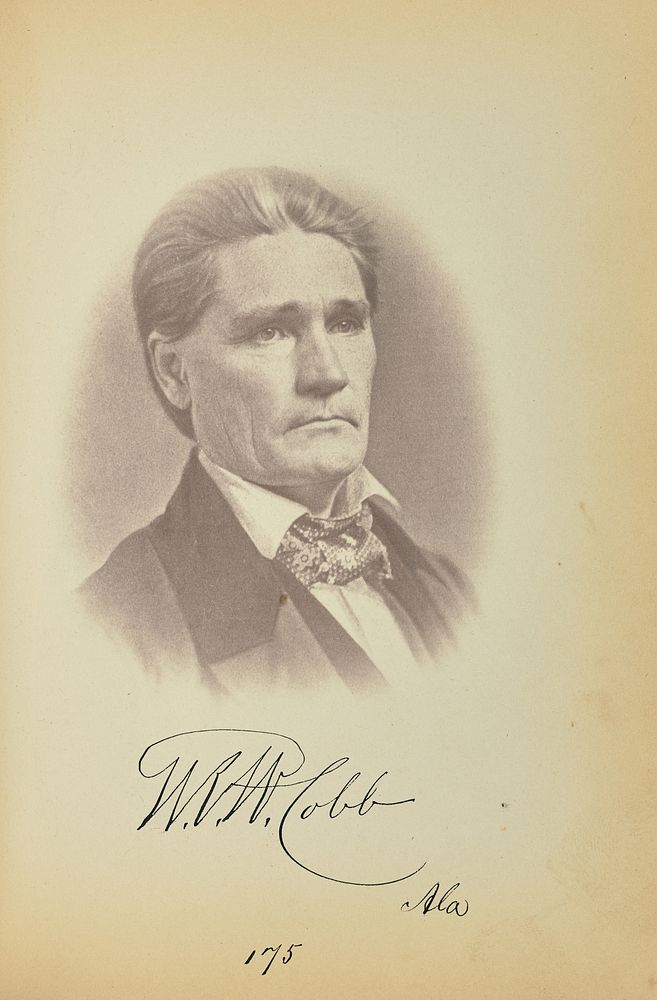 Williamson R. W. Cobb by James Earle McClees and Julian Vannerson
