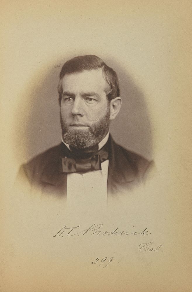 David C. Broderick by James Earle McClees and Julian Vannerson