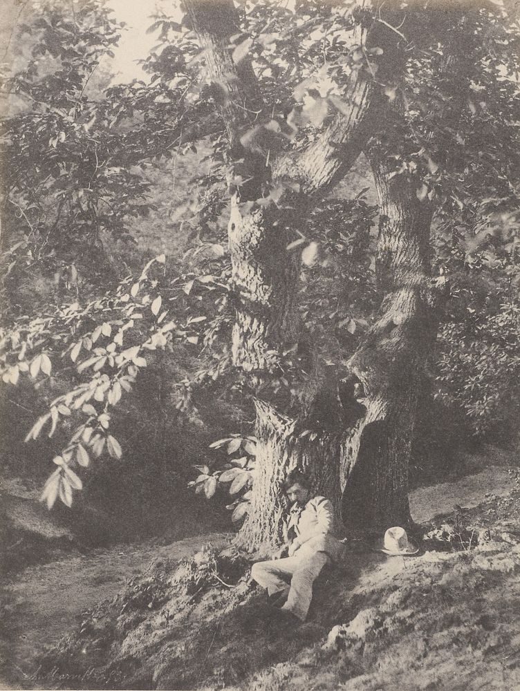 Young Man Resting Beneath a Horse-Chestnut Tree] / [Homme allongé au pied d'un châtaignier by Charles Marville and Louis…