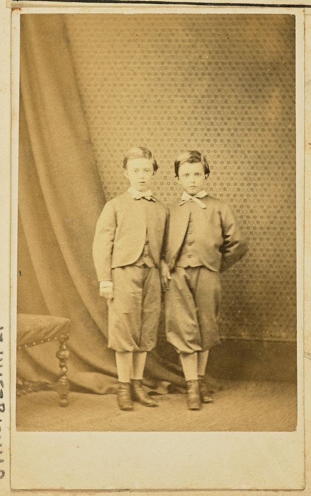 Portrait of two young boys